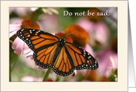 Do not be sad sympathy butterfly card