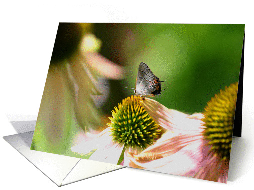 Thinking of You butterfly card (837540)