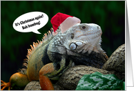 Christmas bah humbug iguana card