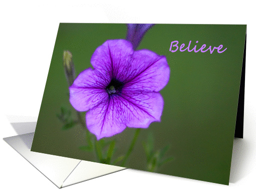 encouragement petunia for Grandmother card (843703)