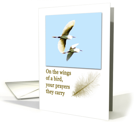 encouragement birds flying for Grandmother card (843709)