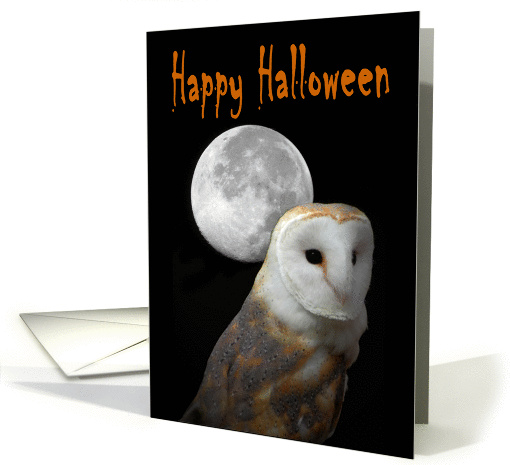 Happy Halloween party invitation owl card (844171)