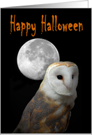 Happy Halloween party invitation owl card