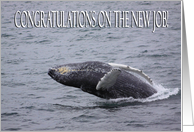Congratulations on the new job whale card