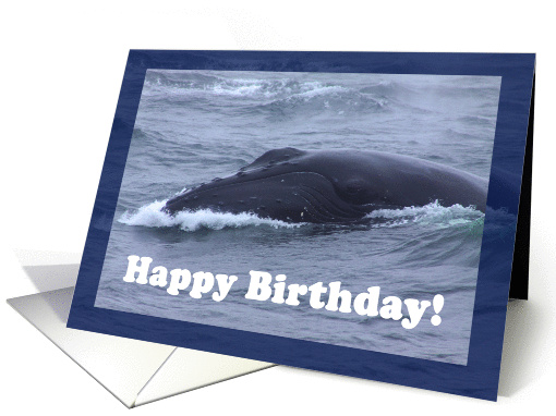 Happy Birthday humpback whale card (844326)
