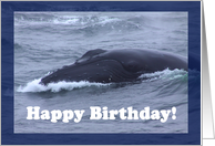 Happy Birthday humpback whale card