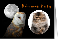 Halloween Party invitation customizable photo card
