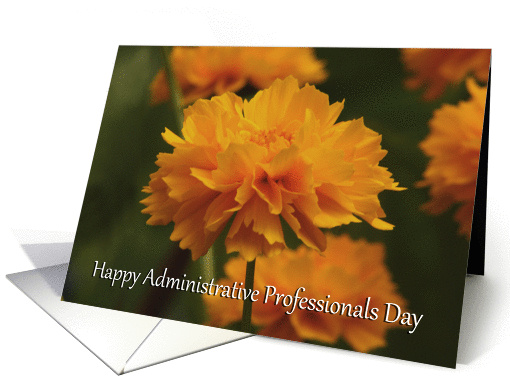 Happy Administrative Professionals Day coreopsis daisy card (852465)