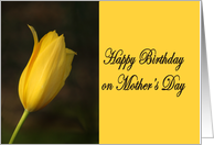Happy Birthday Mother on Mother’s Day tulip card