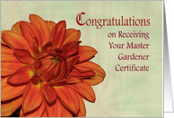Congratulations Master Gardener orange dahlia card