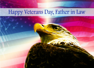 Happy Veterans Day Father in Law flag Bald Eagle