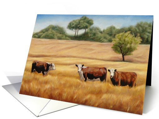 Hereford cows/cattle in Golden Grass card (449234)