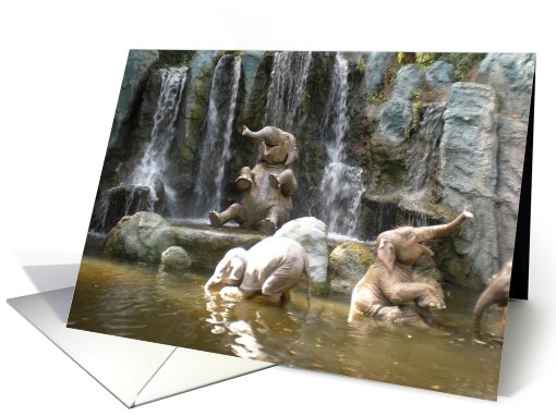 Elephants Playing card (450194)