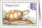 Happy Easter, turtle/tortoise theme, butterfly card