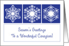 Season’s Greetings to Caregiver, snowflakes card