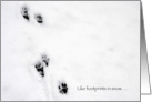 Pet sympathy, footprints in snow card