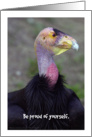 Encouragement, Be Proud, Condor card