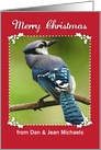 Custom Name Merry Christmas, Blue Jay card