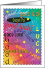 Good Luck, Secret Pal, colorful text card