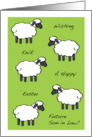 Easter, future son in law, sheep card