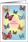 Mother’s Day, butterfly theme card