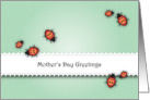 Mother’s Day, ladybug theme card