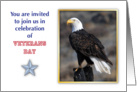 Veterans Day invitation, Bald Eagle card