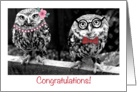 Congratulations, both of us, owls card