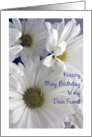 May Birthday to Friend, daisies card