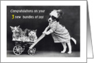 Congratulations, triplets, dog, kittens card