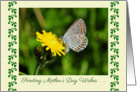 Mother’s Day, blue butterfly card
