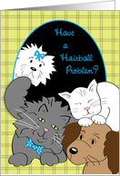 Hairball Awareness Day, cats, dog, hair card