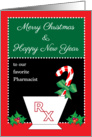 Christmas for Pharmacist, candy cane, holly card