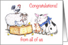 Congratulations to Vet, from all of us, animals card