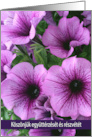 Hungarian Lavender Petunias Sympathy Blank card