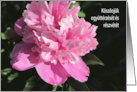 Hungarian Pink Peony Sympathy Blank card