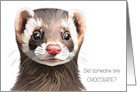 Ferret Happy Valentine’s Day card