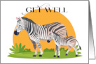 Zebra Theme Get Well card