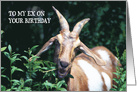 Birthdays To Ex, Goat, Humor card