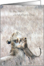 Mother’s Day To Sister From Brother Lions card