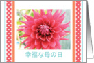 Mother’s Day, in Japanese, blank card
