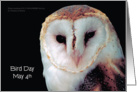 Bird Day, May 4, Owl card