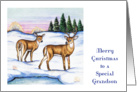 Christmas Money Card for Grandson, deer card