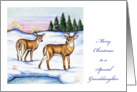Christmas Money Card for Granddaughter, deer card