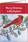 Christmas, Money Enclosed to Nephew, cardinal card
