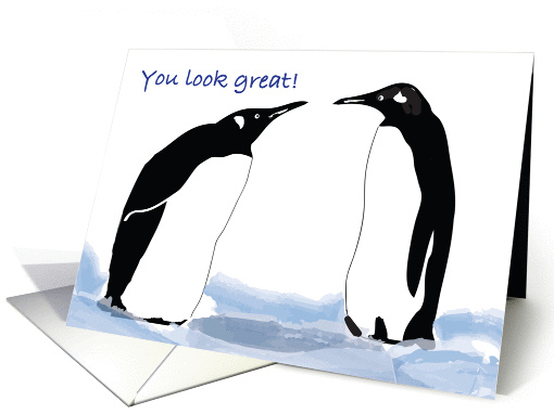 Feel Better, tummy tuck surgery, penguins card (1003065)