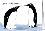 Feel Better, tummy tuck surgery, penguins card