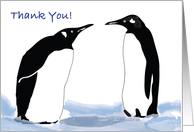 Thank You, penguins theme, blank card