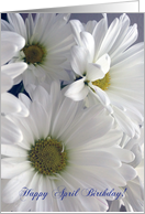 April Birthday to Friend, white daisies card