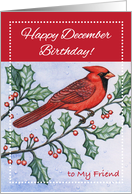 Birthday to Friend, December, cardinal, holly card